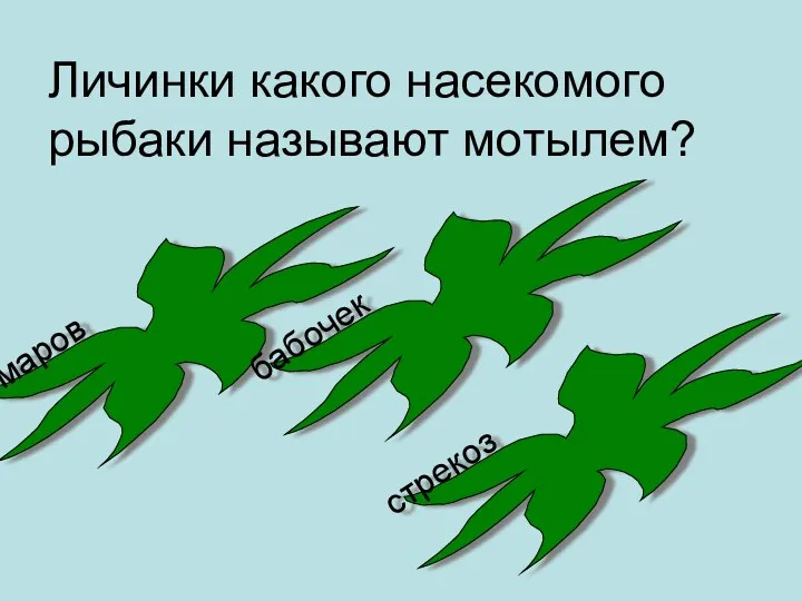 Личинки какого насекомого рыбаки называют мотылем? комаров бабочек стрекоз