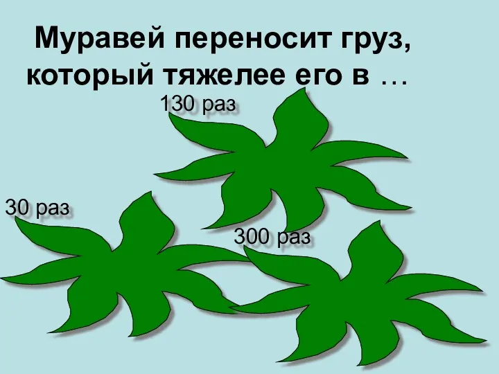 Муравей переносит груз, который тяжелее его в … 30 раз 130 раз 300 раз