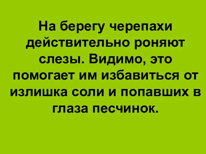 На берегу черепахи действительно роняют слезы. Видимо, это помогает им