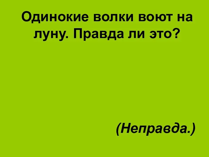 Одинокие волки воют на луну. Правда ли это? (Неправда.)