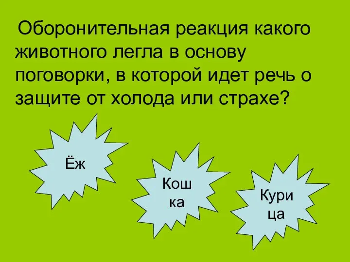 Оборонительная реакция какого животного легла в основу поговорки, в которой