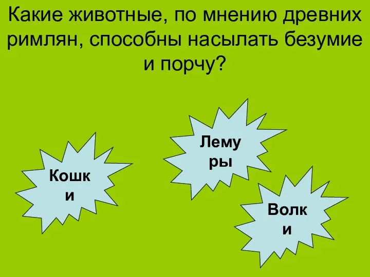 Какие животные, по мнению древних римлян, способны насылать безумие и порчу? Кошки Лемуры Волки