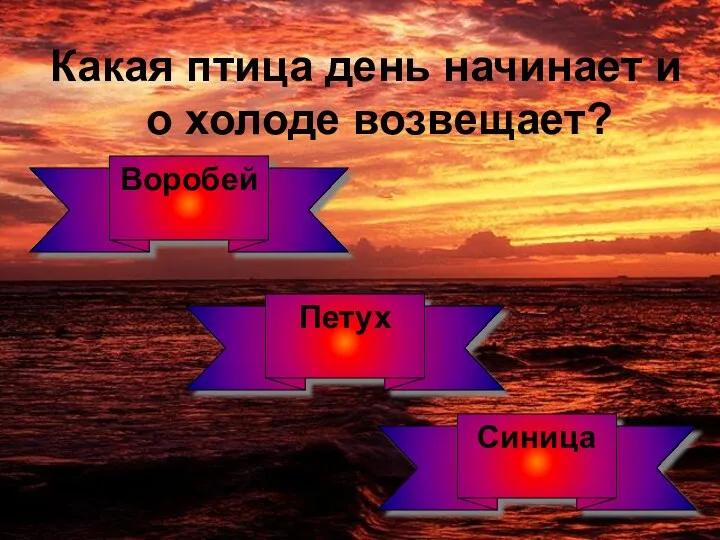 Какая птица день начинает и о холоде возвещает? Воробей Синица Петух