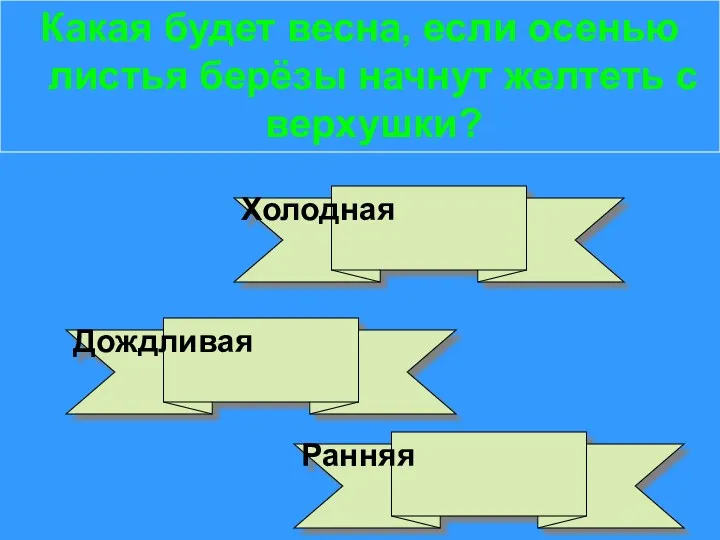 Какая будет весна, если осенью листья берёзы начнут желтеть с верхушки? Холодная Ранняя Дождливая