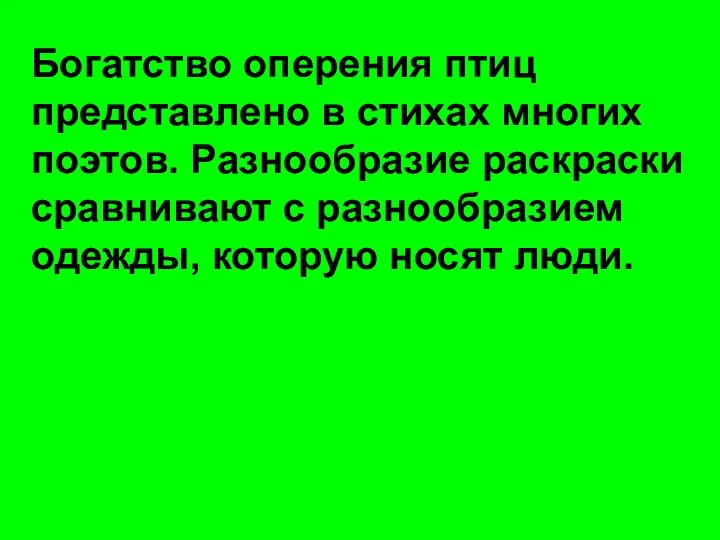 Богатство оперения птиц представлено в стихах многих поэтов. Разнообразие раскраски