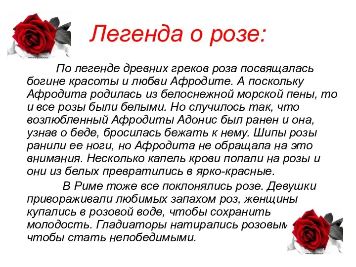 Легенда о розе: По легенде древних греков роза посвящалась богине