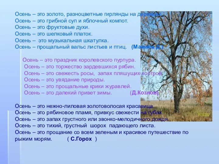 Осень – это золото, разноцветные гирлянды на деревьях. Осень – это грибной суп