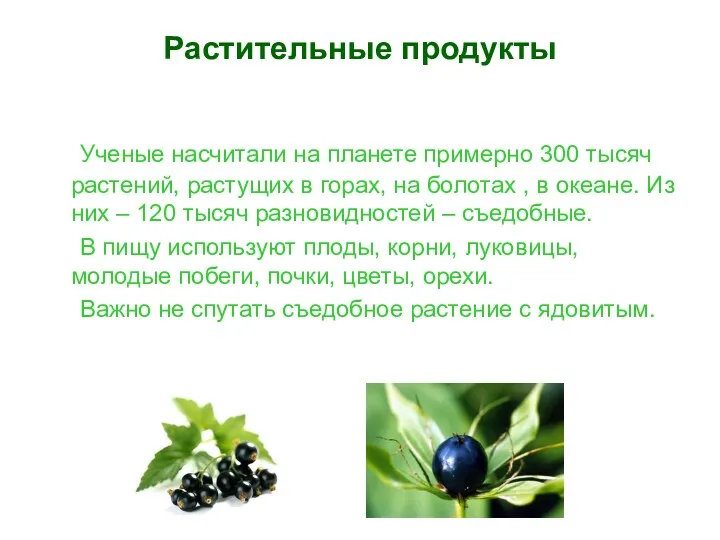 Растительные продукты Ученые насчитали на планете примерно 300 тысяч растений, растущих в горах,