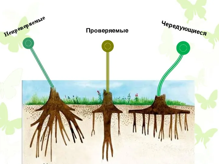 Непроверяемые Проверяемые Чередующиеся