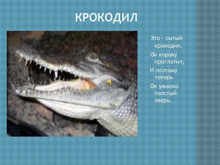 Крокодил Это - сытый крокодил. Он корову проглотил, И поэтому теперь Он ужасно толстый зверь.