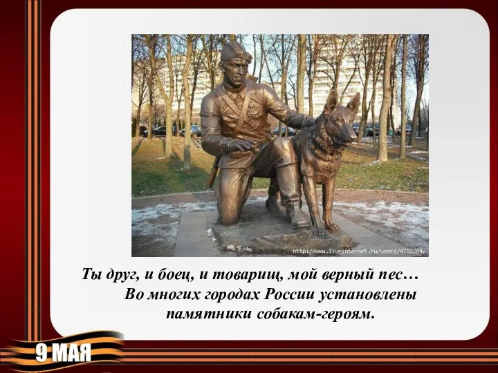 Ты друг, и боец, и товарищ, мой верный пес… Во многих городах России установлены памятники собакам-героям.