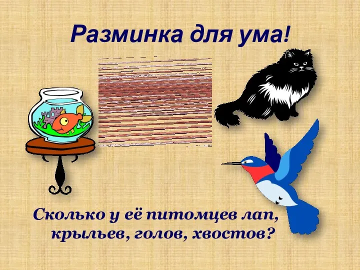 Разминка для ума! Сколько у её питомцев лап, крыльев, голов, хвостов?