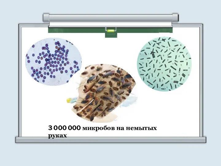 3 000 000 микробов на немытых руках