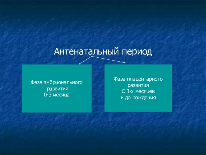 Антенатальный период Фаза эмбрионального развития 0-3 месяца Фаза плацентарного развития С 3-х месяцев и до рождения