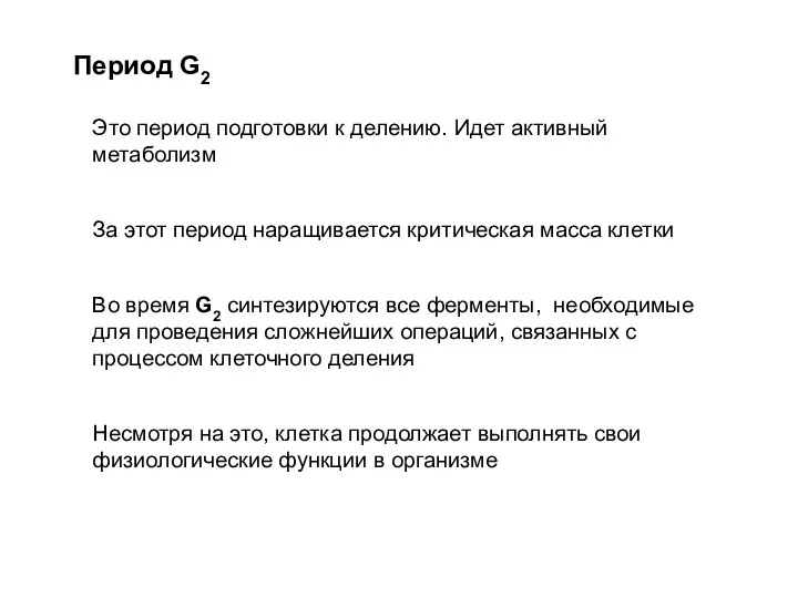 Период G2 Это период подготовки к делению. Идет активный метаболизм