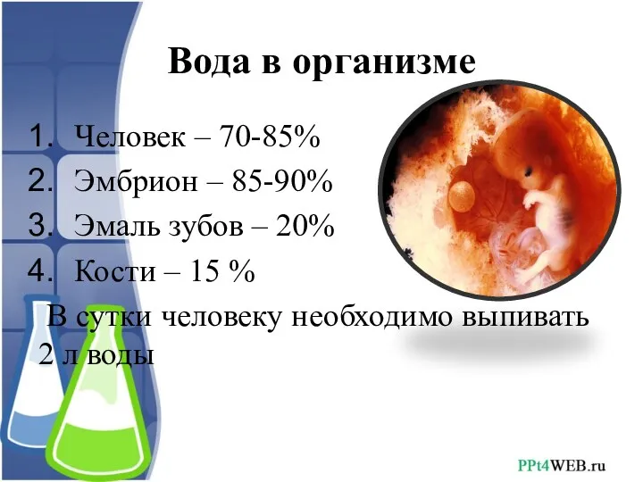 Вода в организме Человек – 70-85% Эмбрион – 85-90% Эмаль