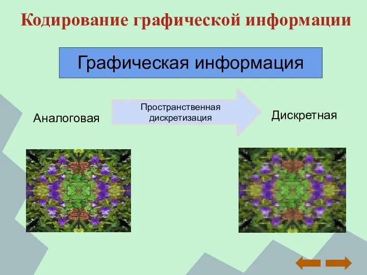 Кодирование графической информации Аналоговая Дискретная Пространственная дискретизация Графическая информация