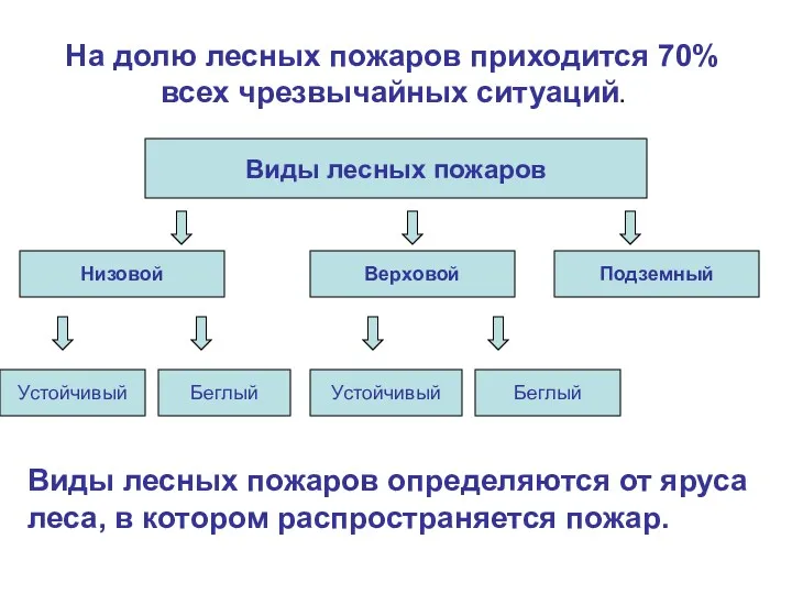 Виды лесных пожаров определяются от яруса леса, в котором распространяется