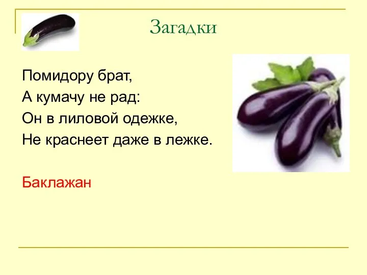 Загадки Помидору брат, А кумачу не рад: Он в лиловой