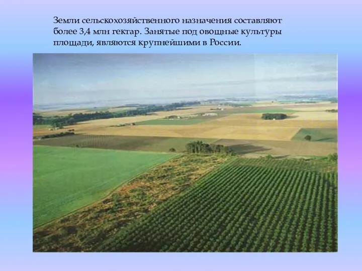 Земли сельскохозяйственного назначения составляют более 3,4 млн гектар. Занятые под