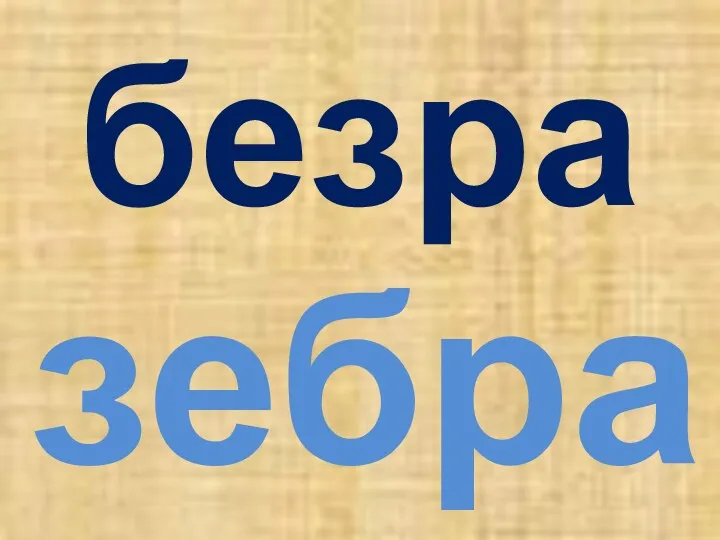 безра зебра