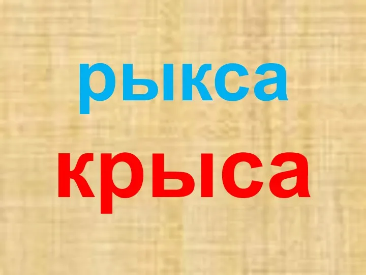 рыкса крыса