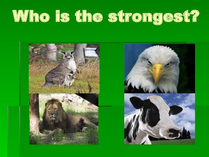 Who is the strongest?