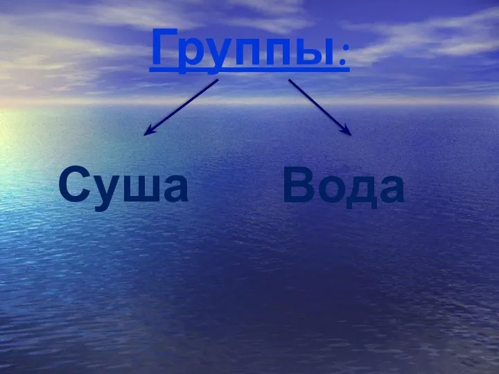 Группы: Суша Вода