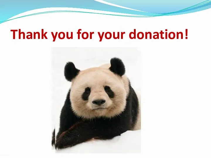 Thank you for your donation!