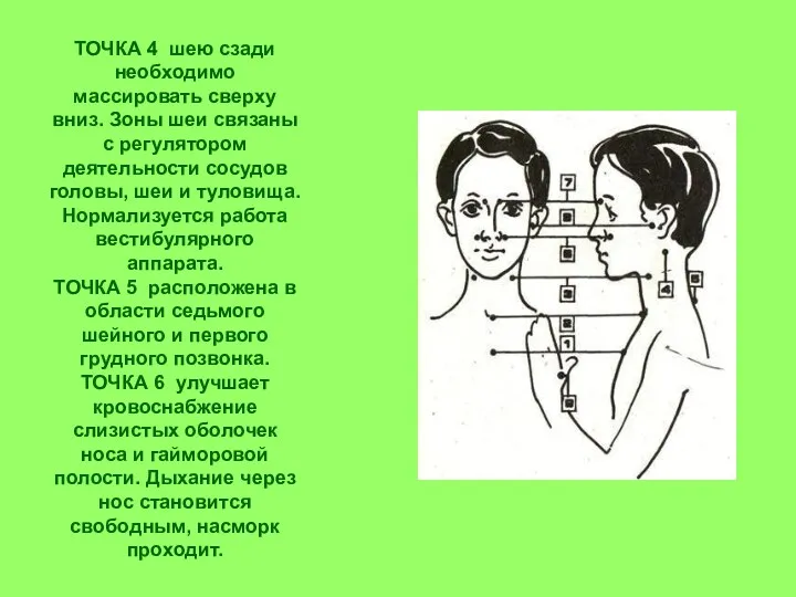 ТОЧКА 4 шею сзади необходимо массировать сверху вниз. Зоны шеи