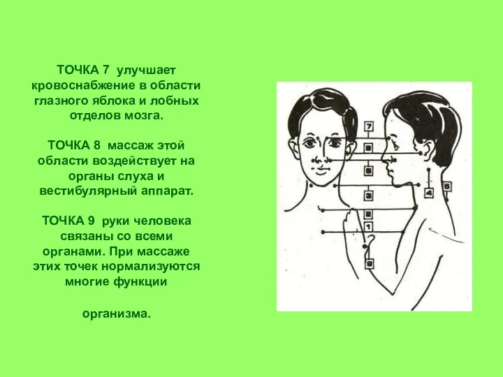 ТОЧКА 7 улучшает кровоснабжение в области глазного яблока и лобных