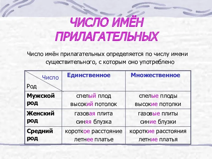 ЧИСЛО ИМЁН ПРИЛАГАТЕЛЬНЫХ Число имён прилагательных определяется по числу имени существительного, с которым оно употреблено