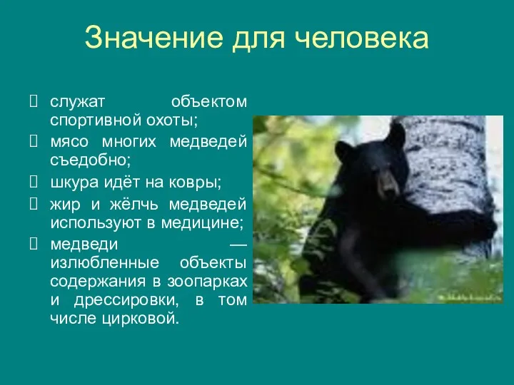 Значение для человека служат объектом спортивной охоты; мясо многих медведей