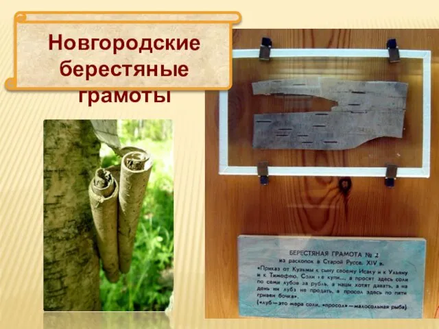 Новгородские берестяные грамоты