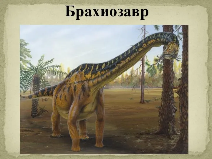 Брахиозавр