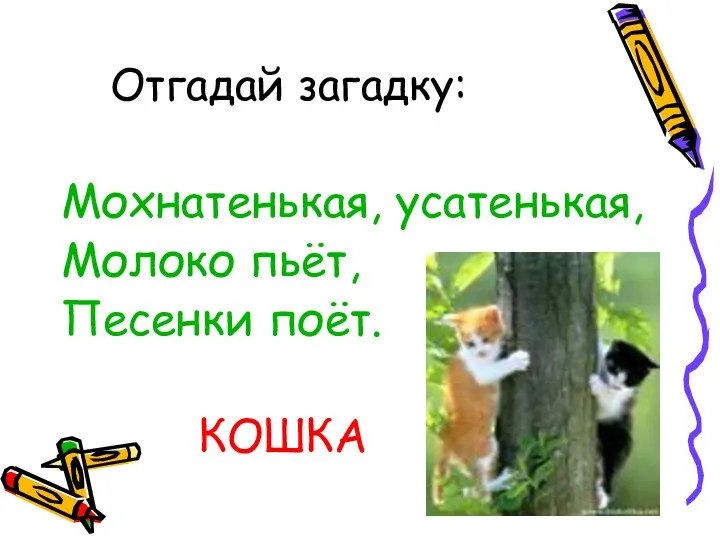 Отгадай загадку: Мохнатенькая, усатенькая, Молоко пьёт, Песенки поёт. КОШКА