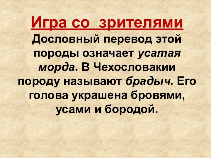 Игра со зрителями Дословный перевод этой породы означает усатая морда.