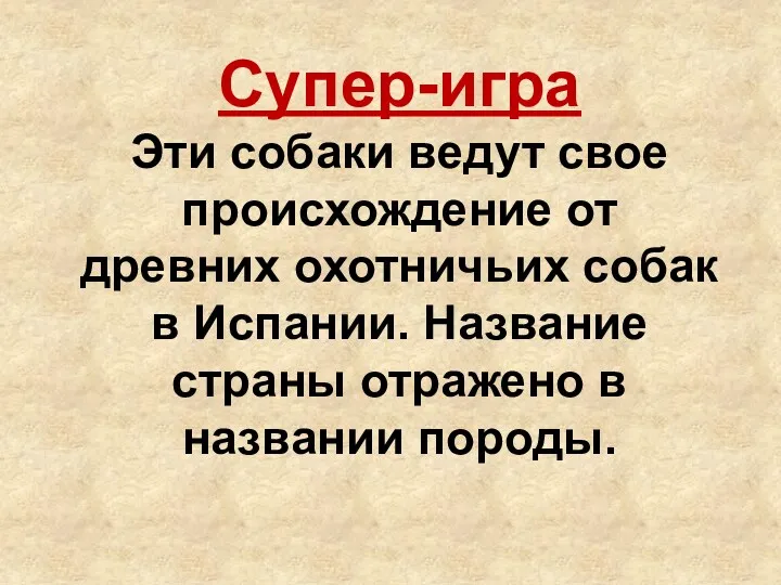 Супер-игра Эти собаки ведут свое происхожде­ние от древних охотничьих собак