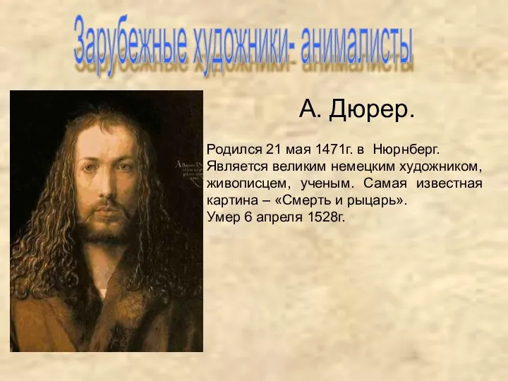 Зарубежные художники- анималисты А. Дюрер. Родился 21 мая 1471г. в