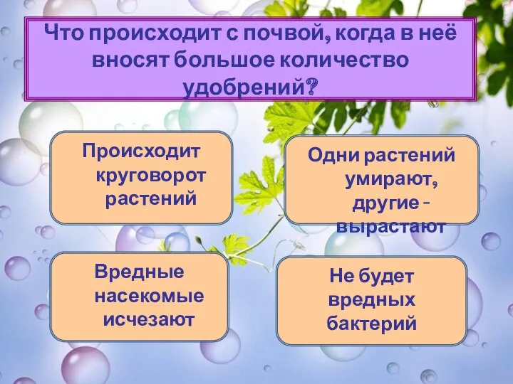 Что происходит с почвой, когда в неё вносят большое количество