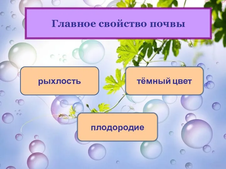 плодородие рыхлость тёмный цвет Главное свойство почвы