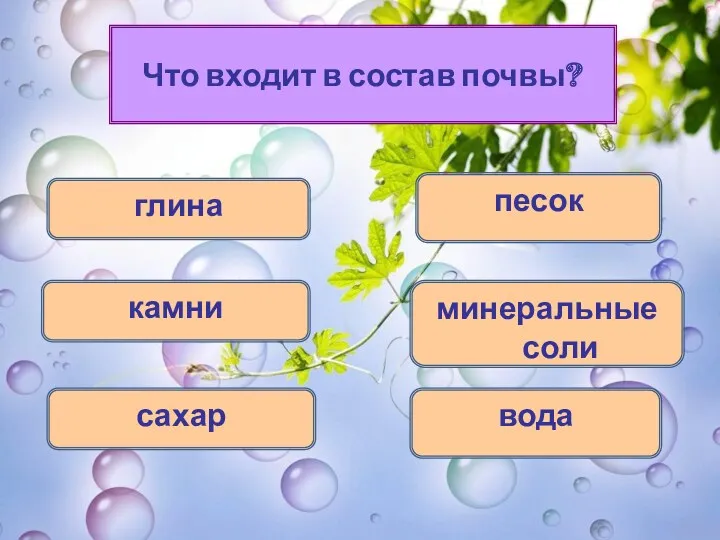 Что входит в состав почвы? глина камни песок минеральные соли сахар вода