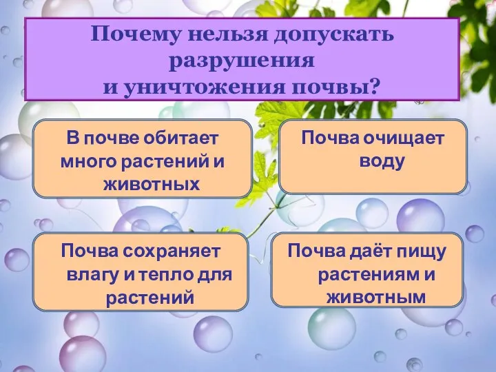 Почему нельзя допускать разрушения и уничтожения почвы? В почве обитает много растений и