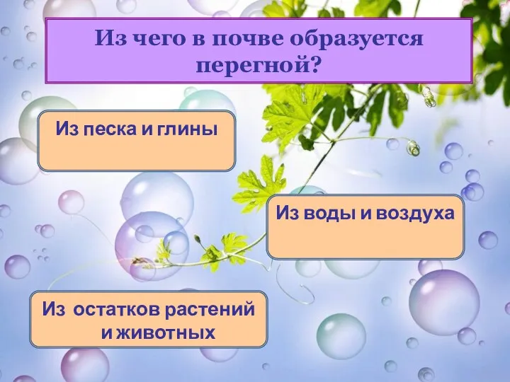 Из чего в почве образуется перегной? Из песка и глины