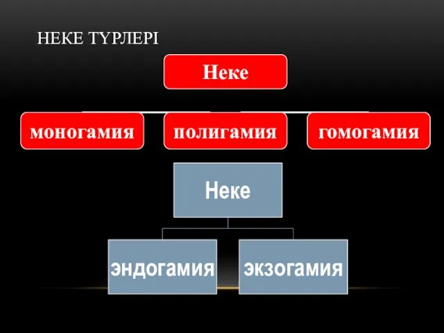 НЕКЕ ТҮРЛЕРІ