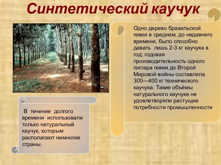 Синтетический каучук Одно дерево бразильской гевеи в среднем, до недавнего