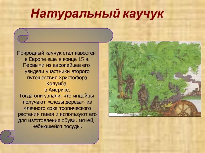 Натуральный каучук Природный каучук стал известен в Европе еще в