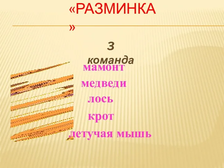 «разминка» 3 команда мамонт медведи лось крот летучая мышь