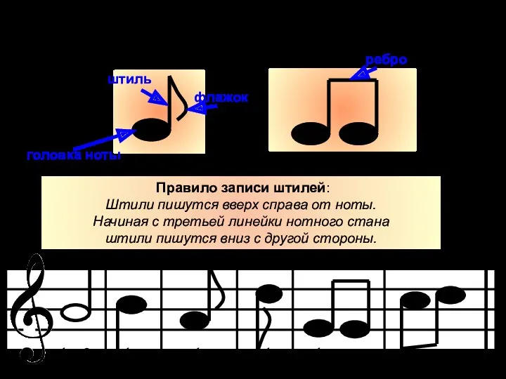 головка ноты штиль флажок ребро Правило записи штилей: Штили пишутся