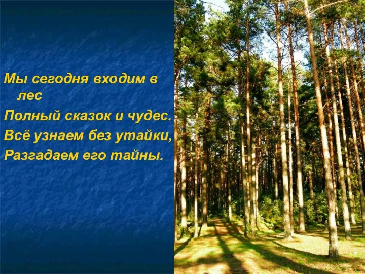 Мы сегодня входим в лес Полный сказок и чудес. Всё узнаем без утайки, Разгадаем его тайны.